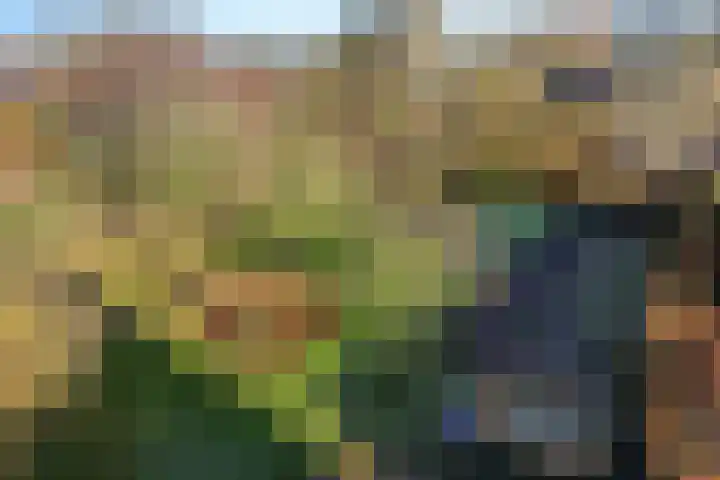 Torenstraat 15 Ezinge thumbnail 4