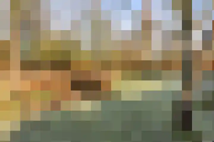Torenstraat 15 Ezinge thumbnail 40