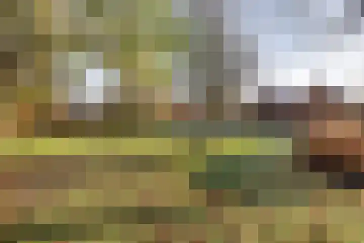 Torenstraat 15 Ezinge thumbnail 41
