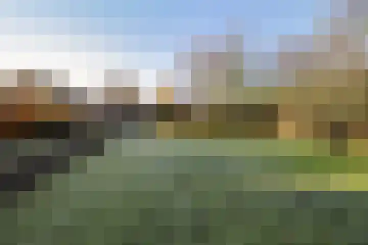 Torenstraat 15 Ezinge thumbnail 42