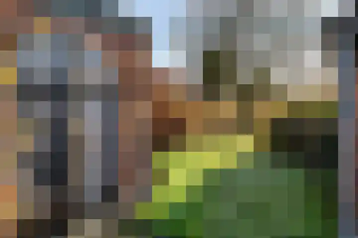 Torenstraat 15 Ezinge thumbnail 43