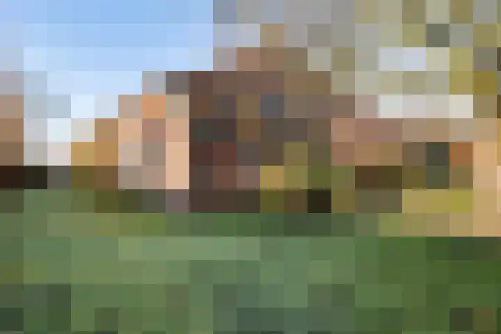 Torenstraat 15 Ezinge thumbnail 44