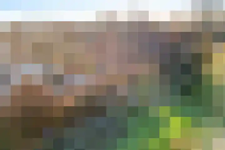 Torenstraat 15 Ezinge thumbnail 45
