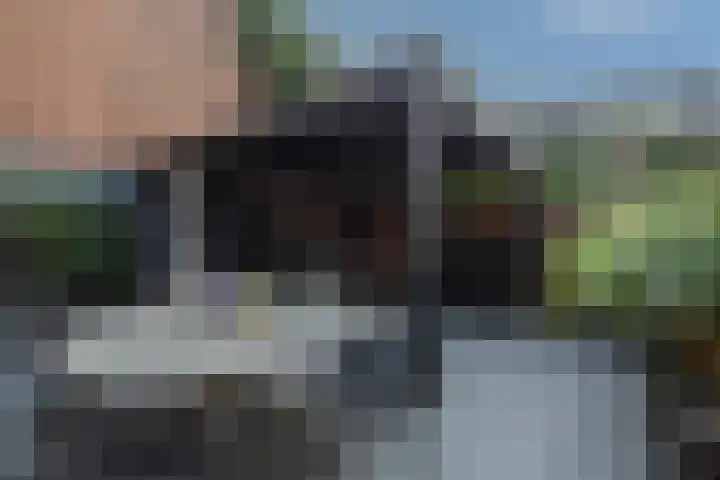 Torenstraat 15 Gorinchem thumbnail 18