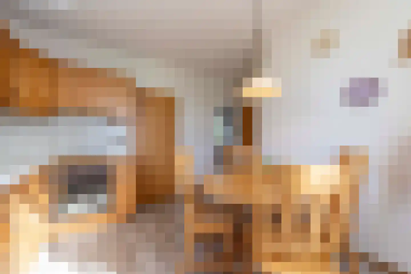 Torenstraat 15 Haaren thumbnail 10