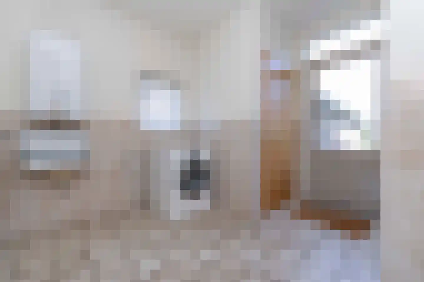 Torenstraat 15 Haaren thumbnail 21