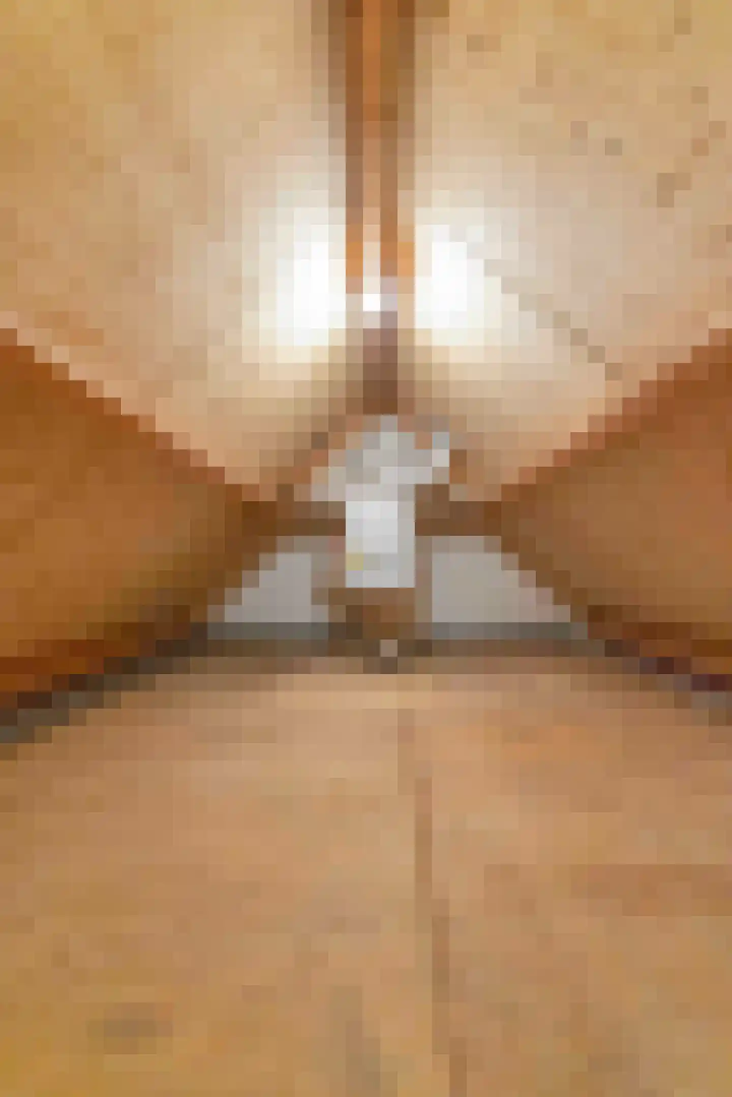 Torenstraat 15 Haaren thumbnail 31