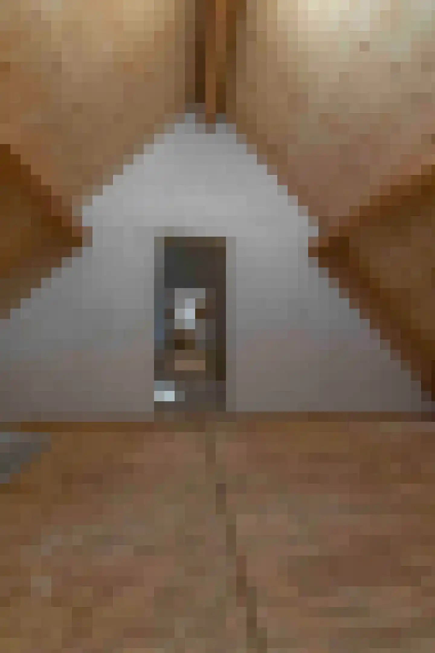 Torenstraat 15 Haaren thumbnail 32
