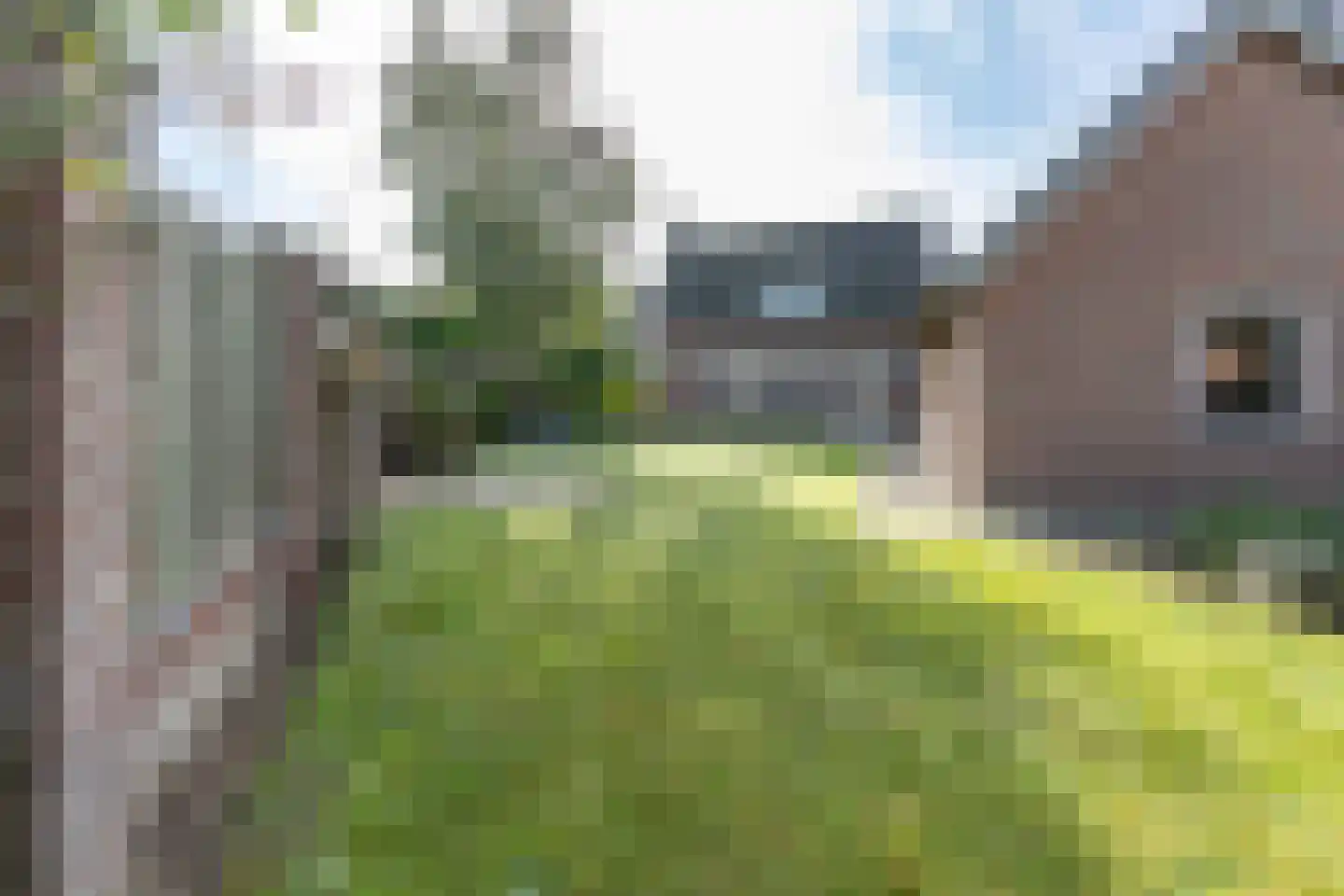 Torenstraat 15 Haaren thumbnail 34