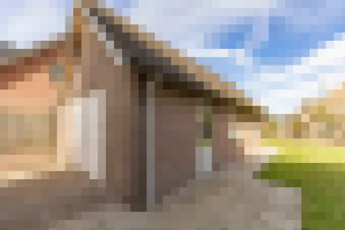 Torenstraat 15 Haaren thumbnail 40