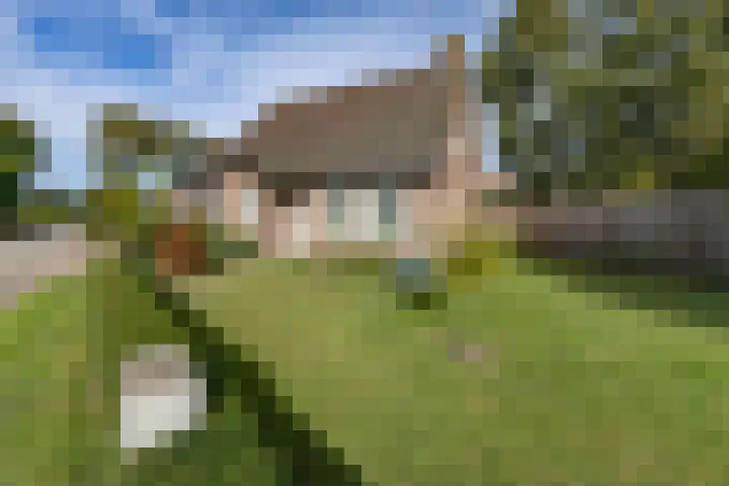 Torenstraat 15 Haaren thumbnail 5
