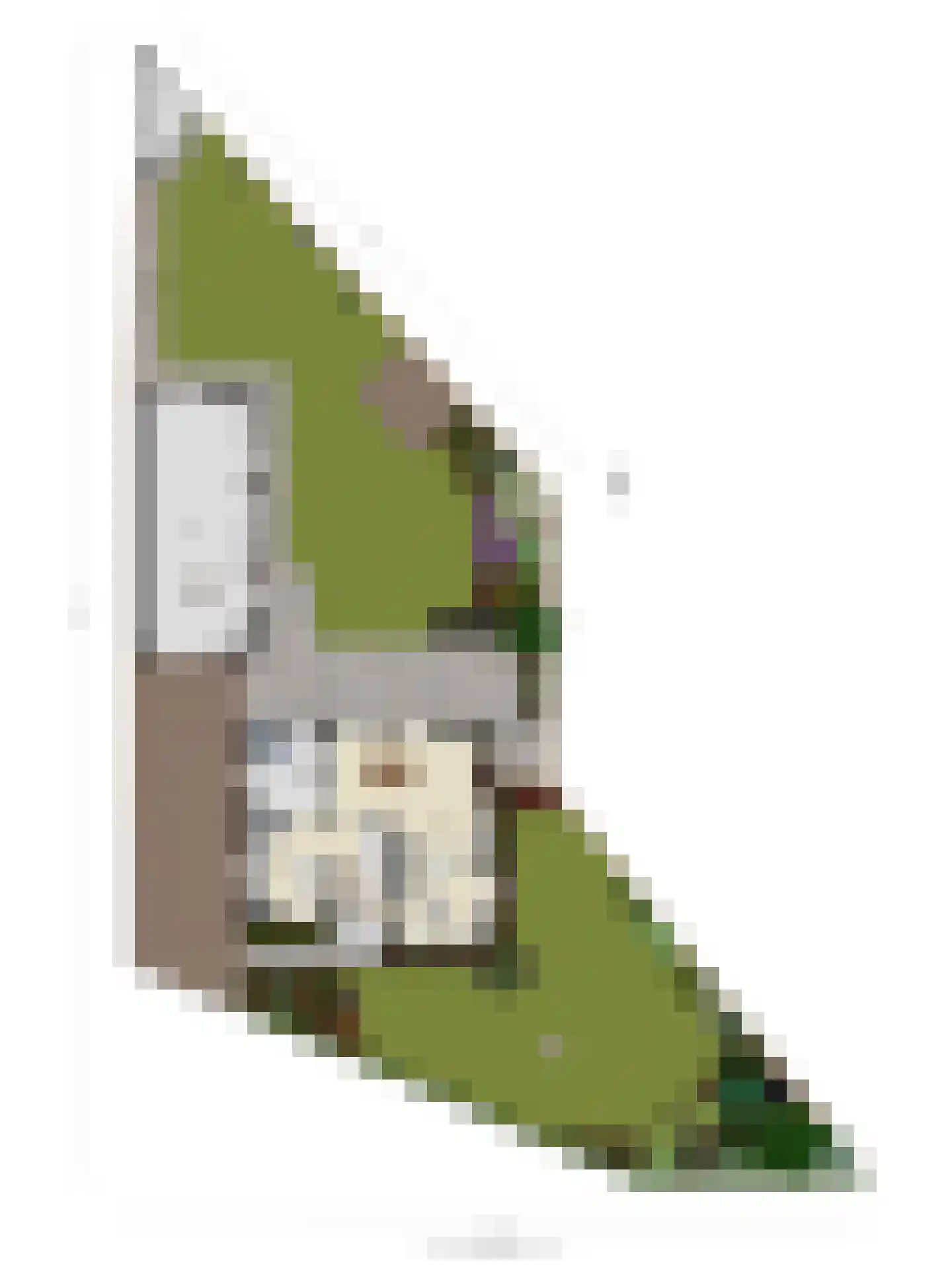 Torenstraat 15 Haaren thumbnail 52