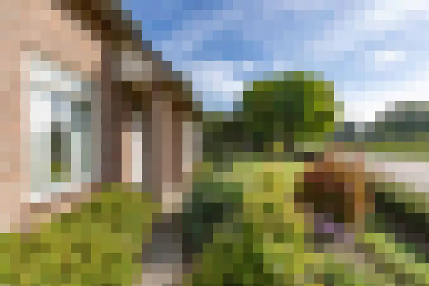 Torenstraat 15 Haaren thumbnail 7