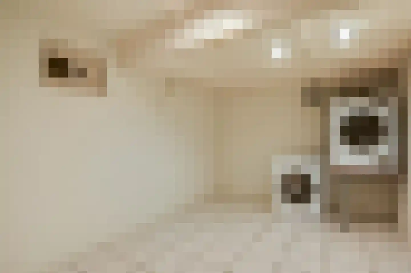 Torenstraat 16 Cadier en Keer thumbnail 19