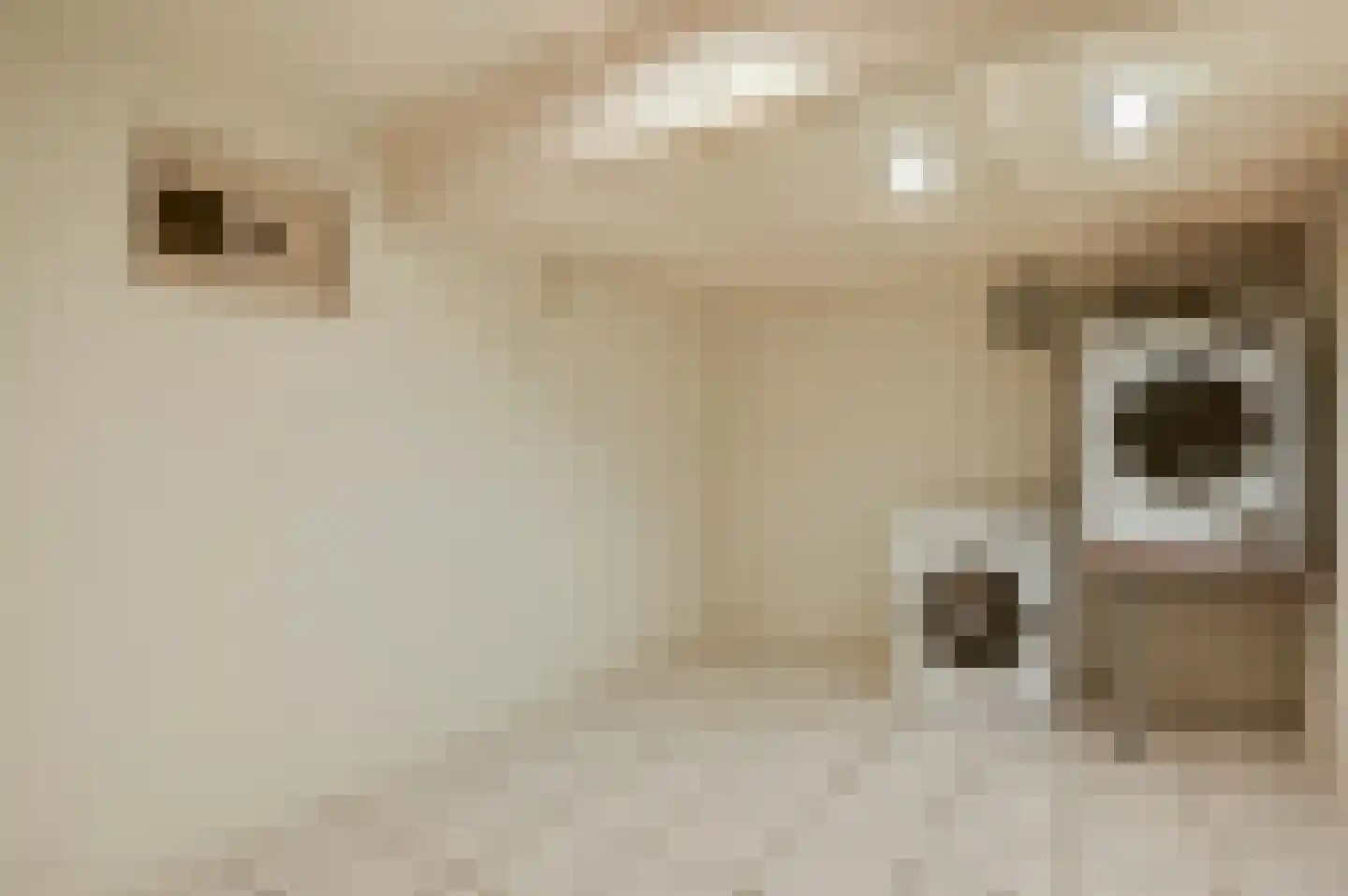 Torenstraat 16 Cadier en Keer thumbnail 20