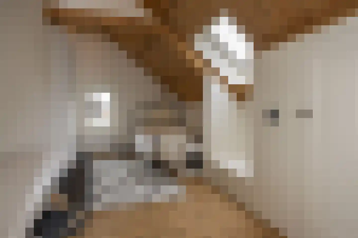 Torenstraat 16 Helvoirt thumbnail 21