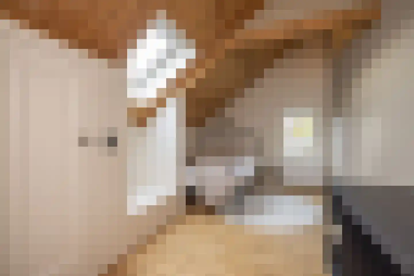 Torenstraat 16 Helvoirt thumbnail 22