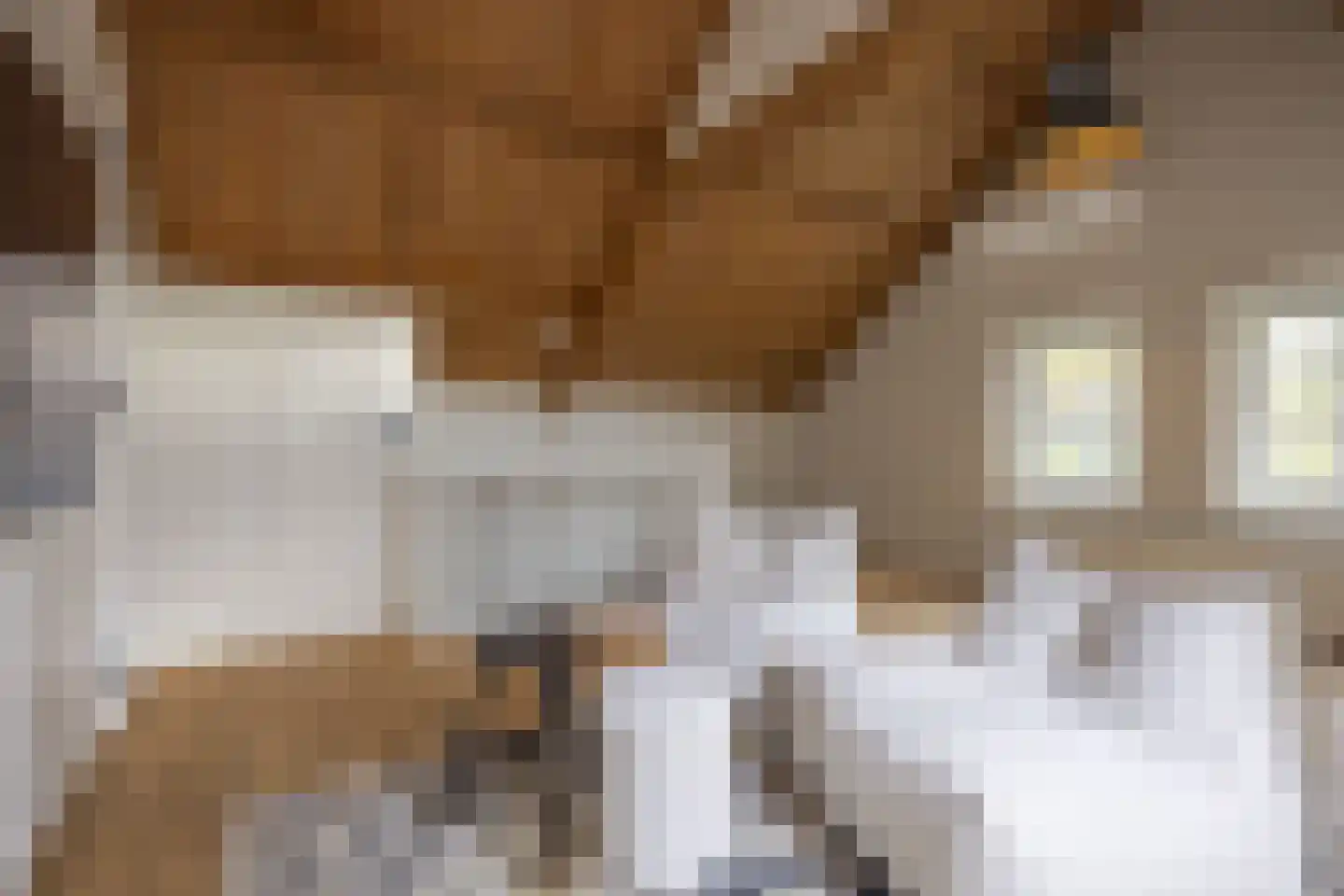 Torenstraat 16 Helvoirt thumbnail 23