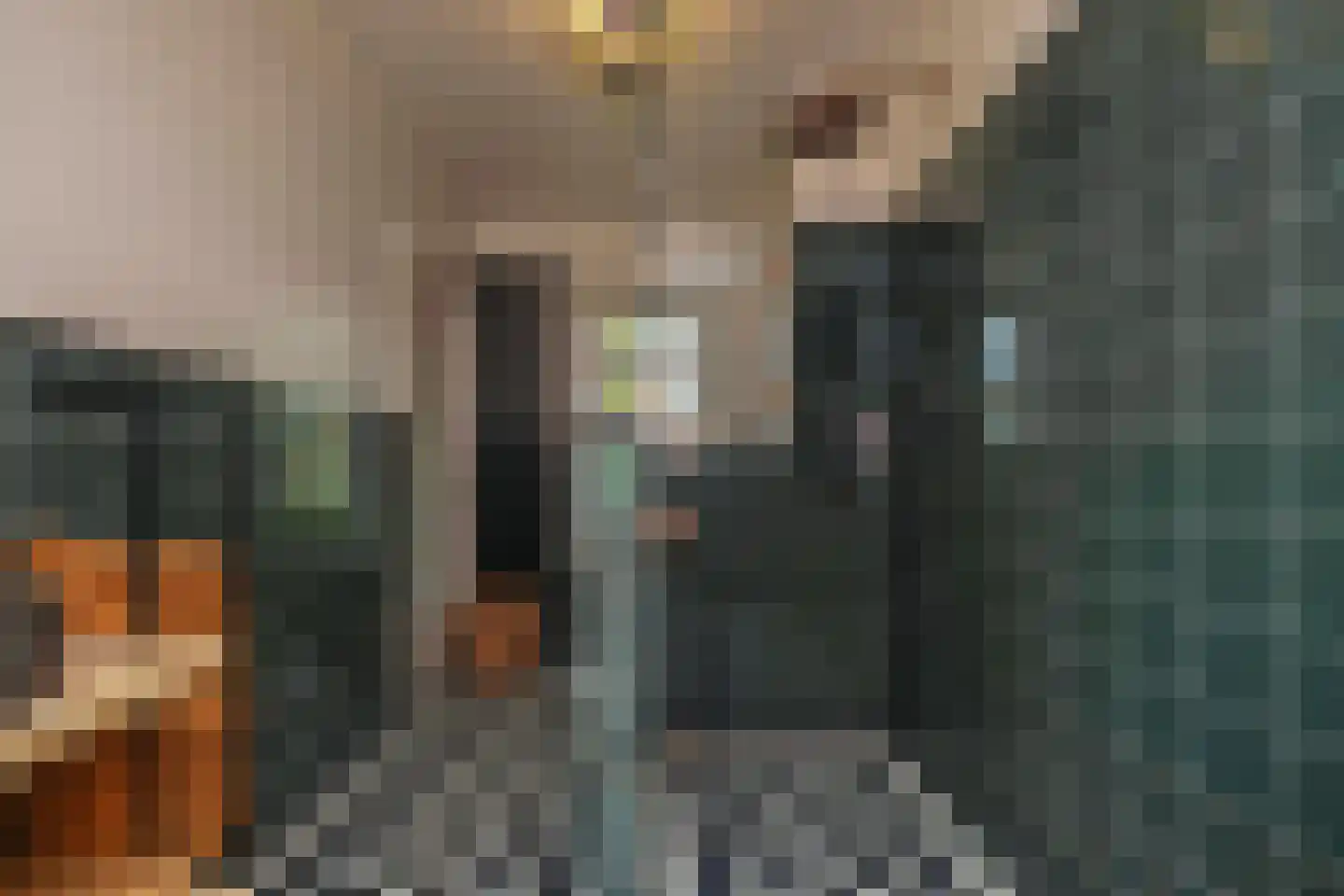 Torenstraat 16 Helvoirt thumbnail 24