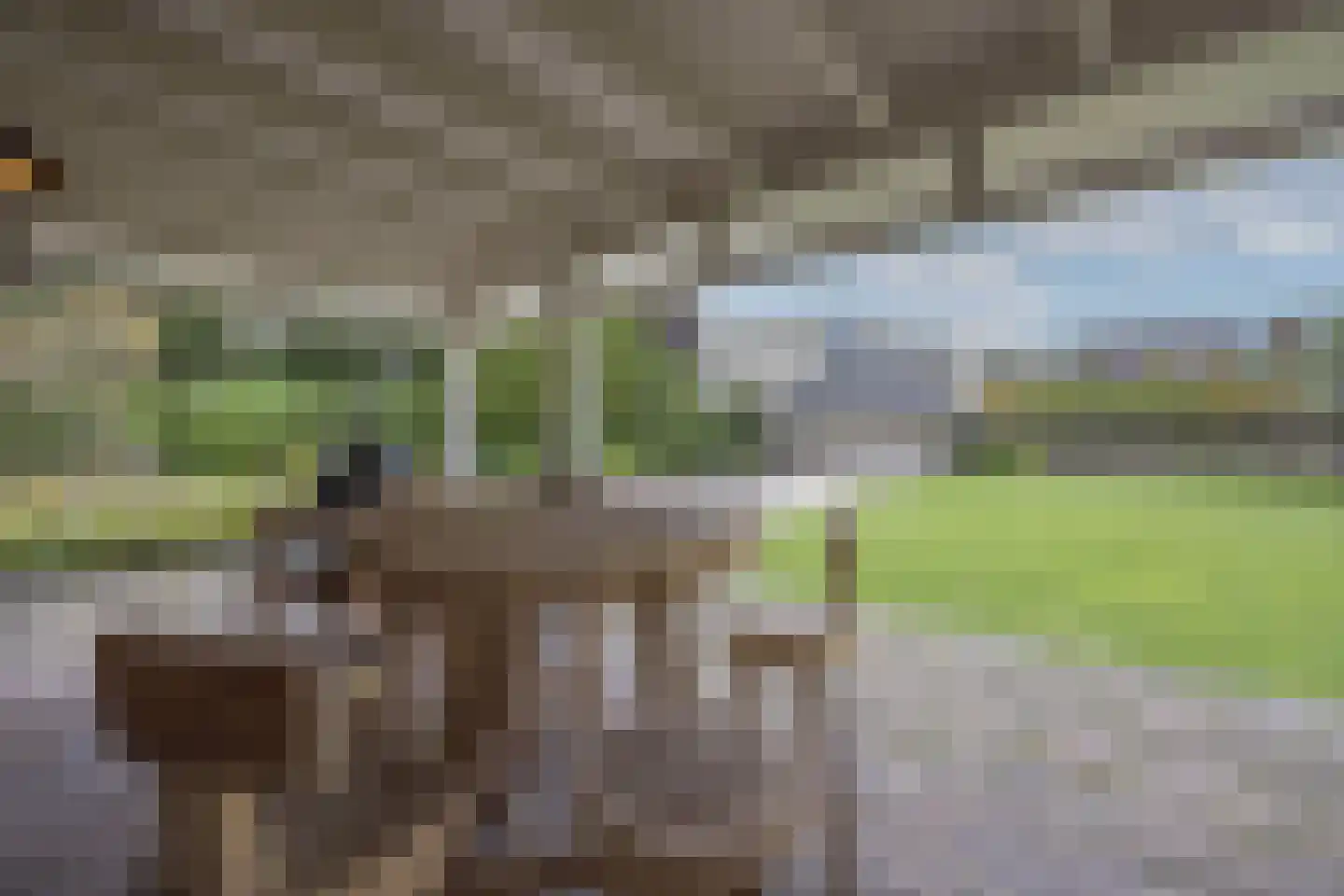 Torenstraat 16 Helvoirt thumbnail 4