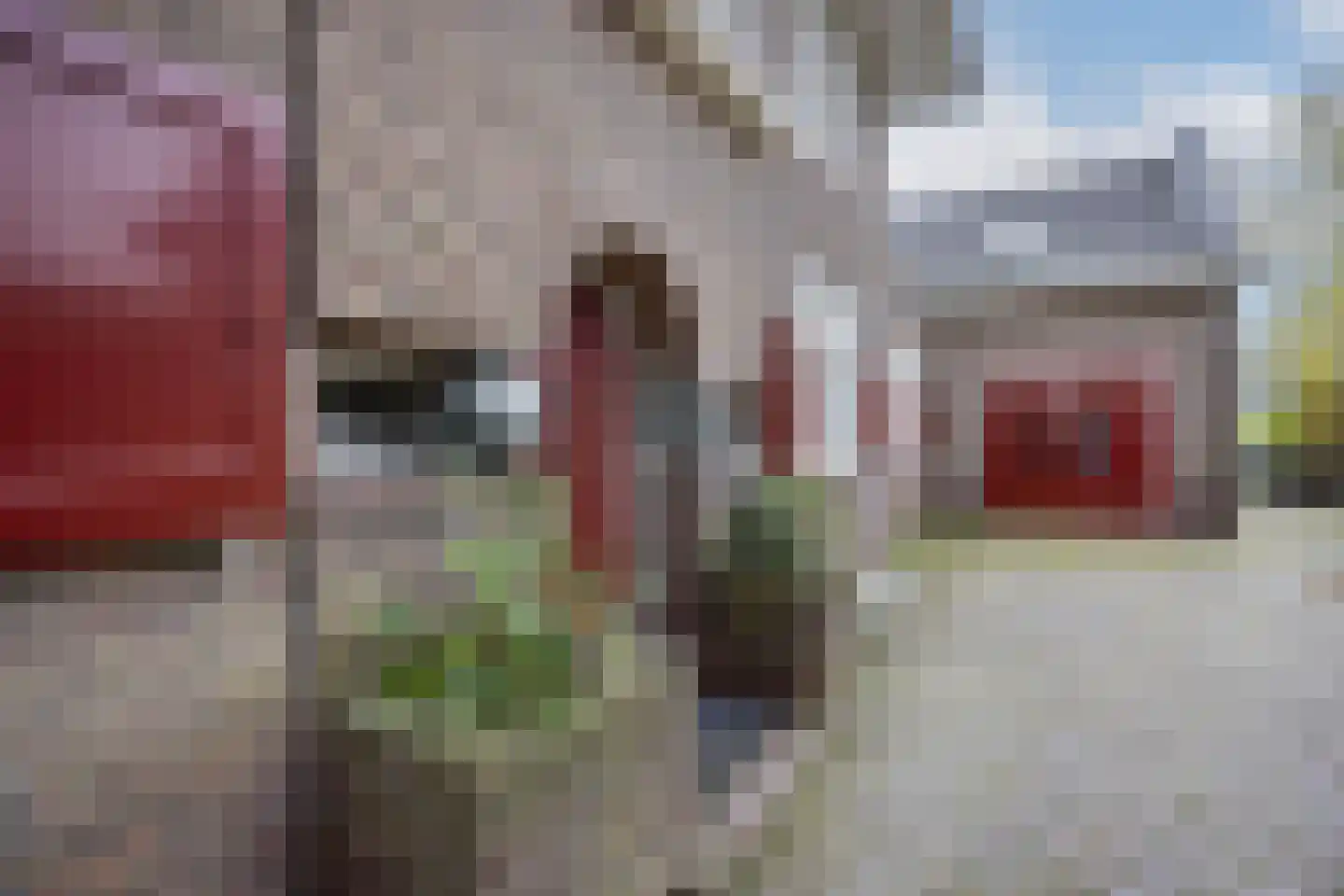 Torenstraat 16 Helvoirt thumbnail 5
