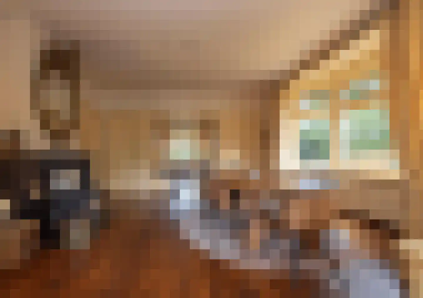 Torenstraat 16 Helvoirt thumbnail 9
