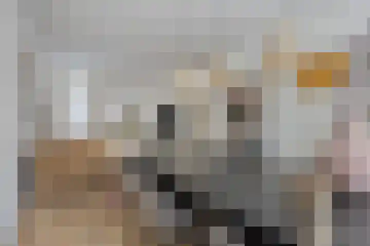 Torenstraat 16 Roosendaal thumbnail 14