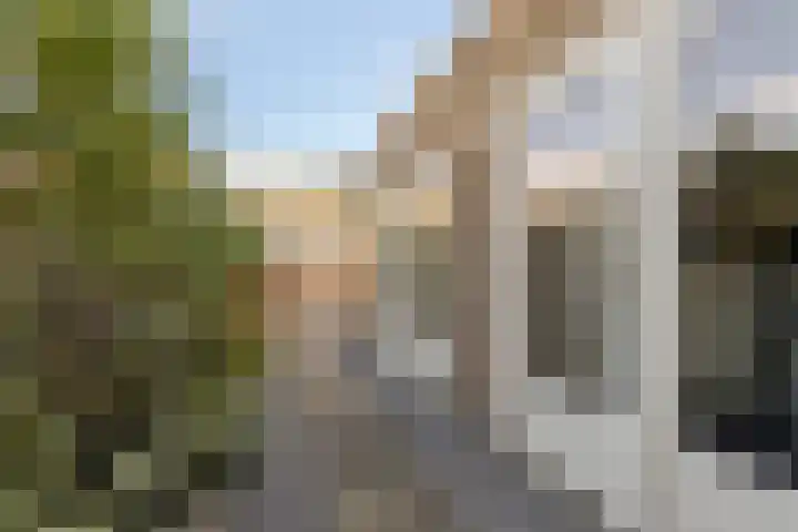 Torenstraat 16 Roosendaal thumbnail 29