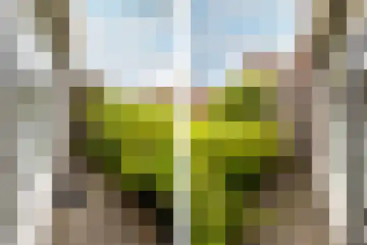 Torenstraat 17 A Oosterhout thumbnail 17