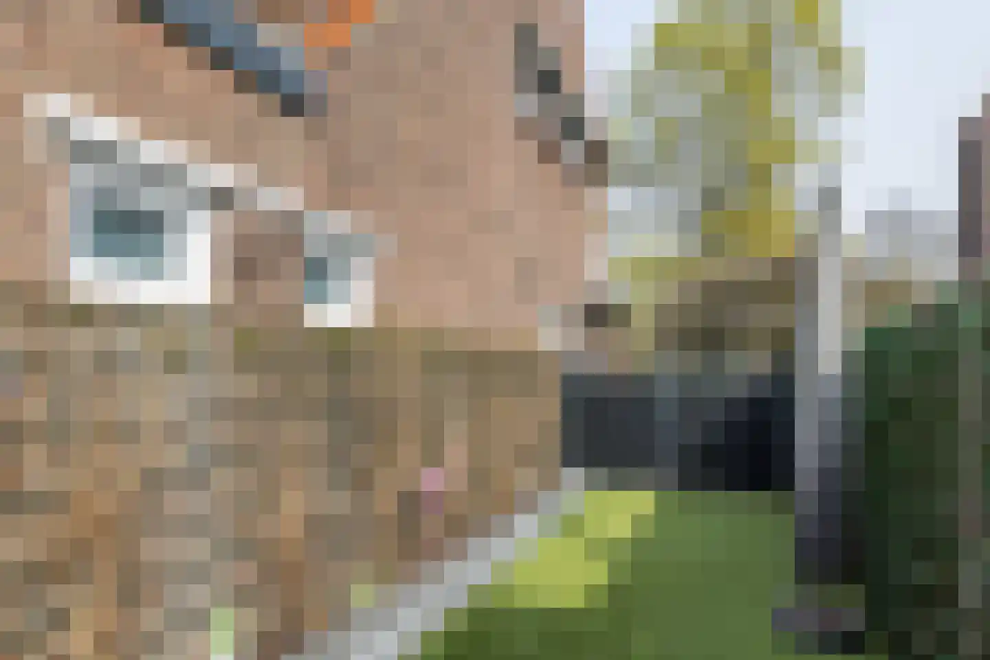 Torenstraat 17 Brunssum thumbnail 27