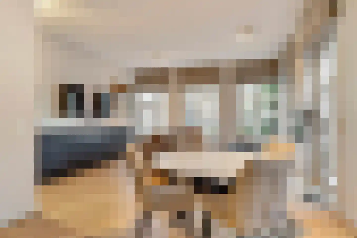 Torenstraat 17 's-Hertogenbosch thumbnail 12