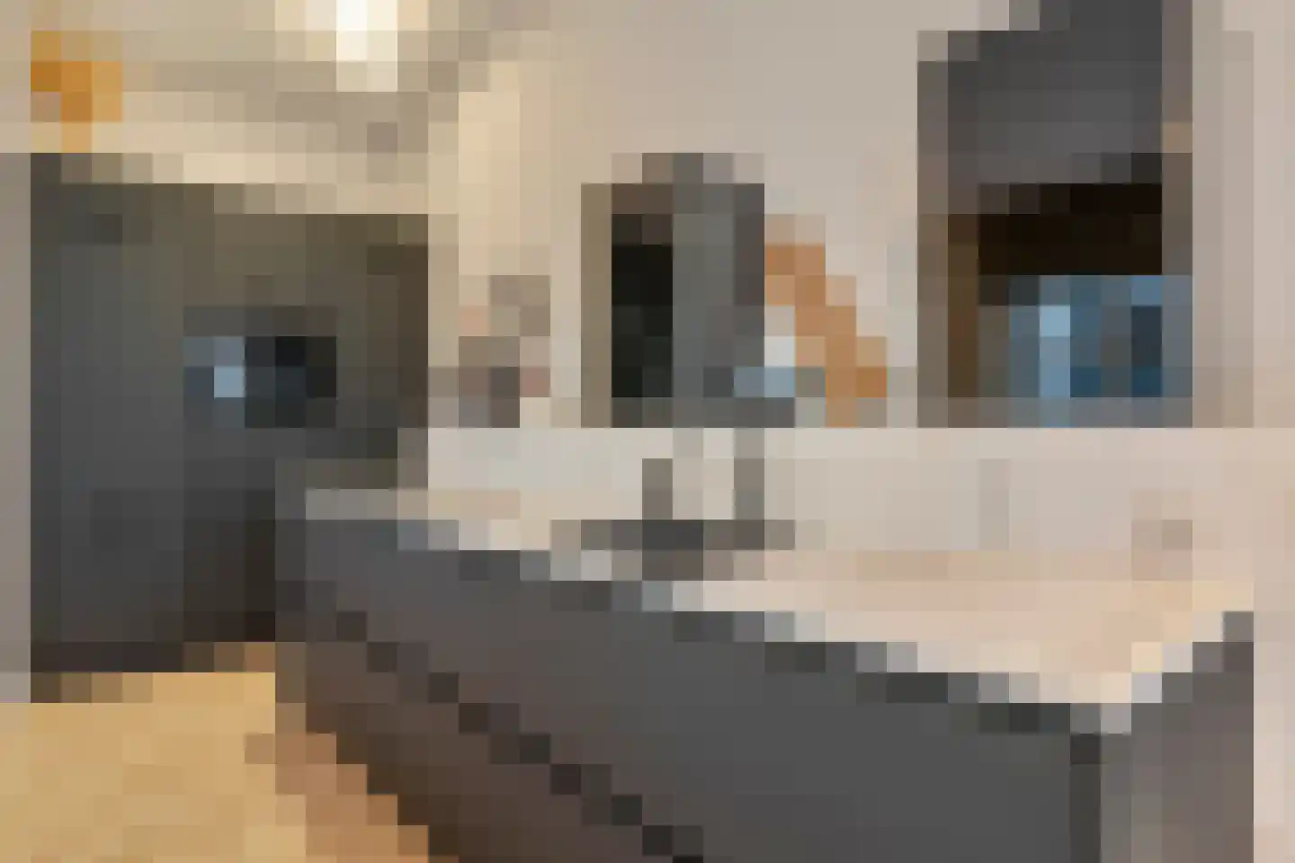 Torenstraat 17 's-Hertogenbosch thumbnail 14
