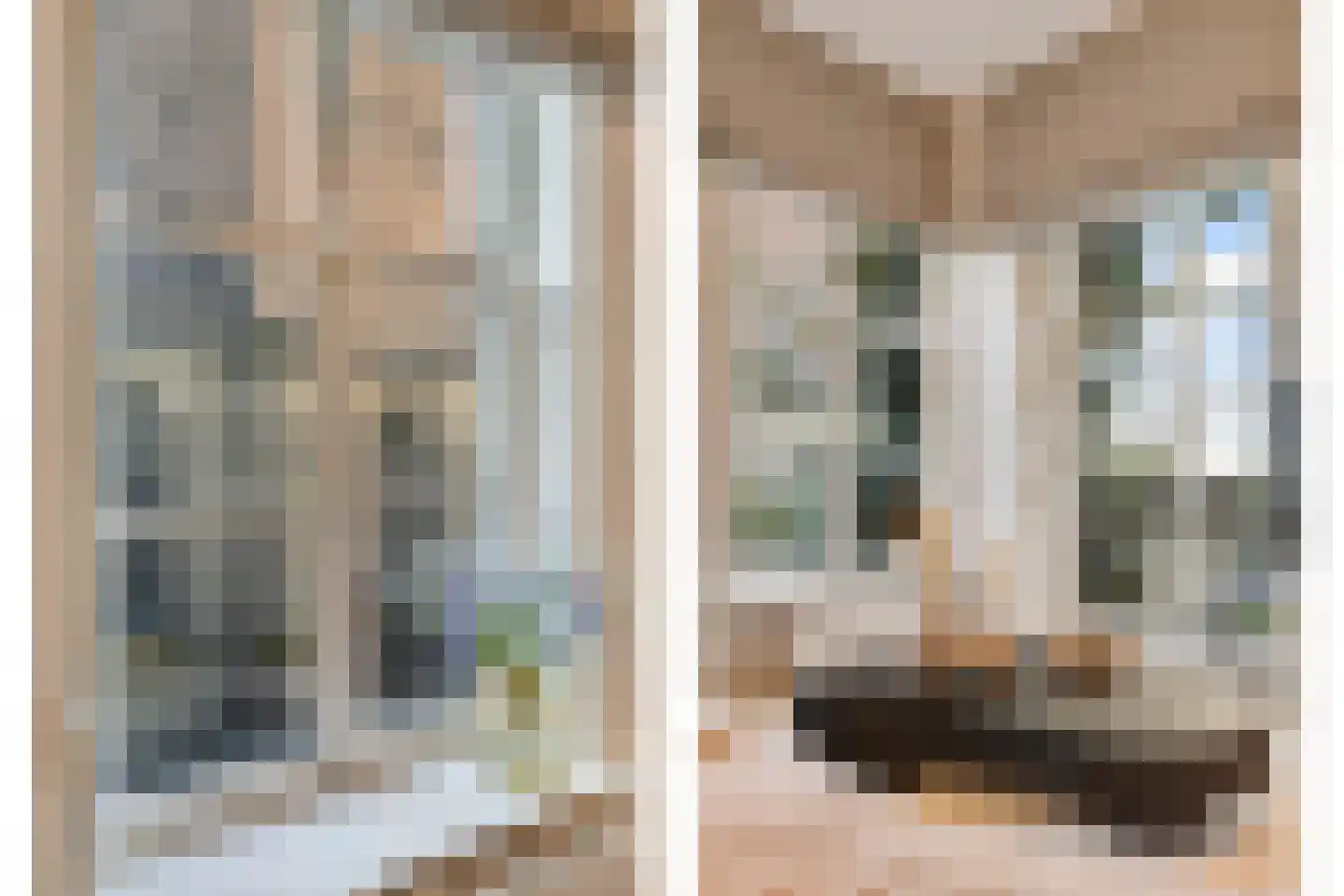 Torenstraat 17 's-Hertogenbosch thumbnail 19