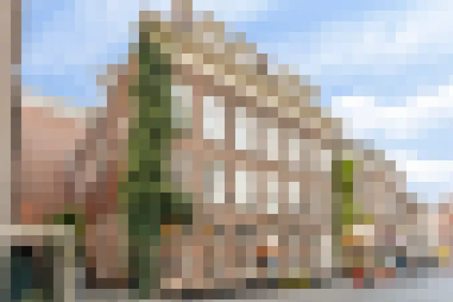Torenstraat 17 's-Hertogenbosch foto 2
