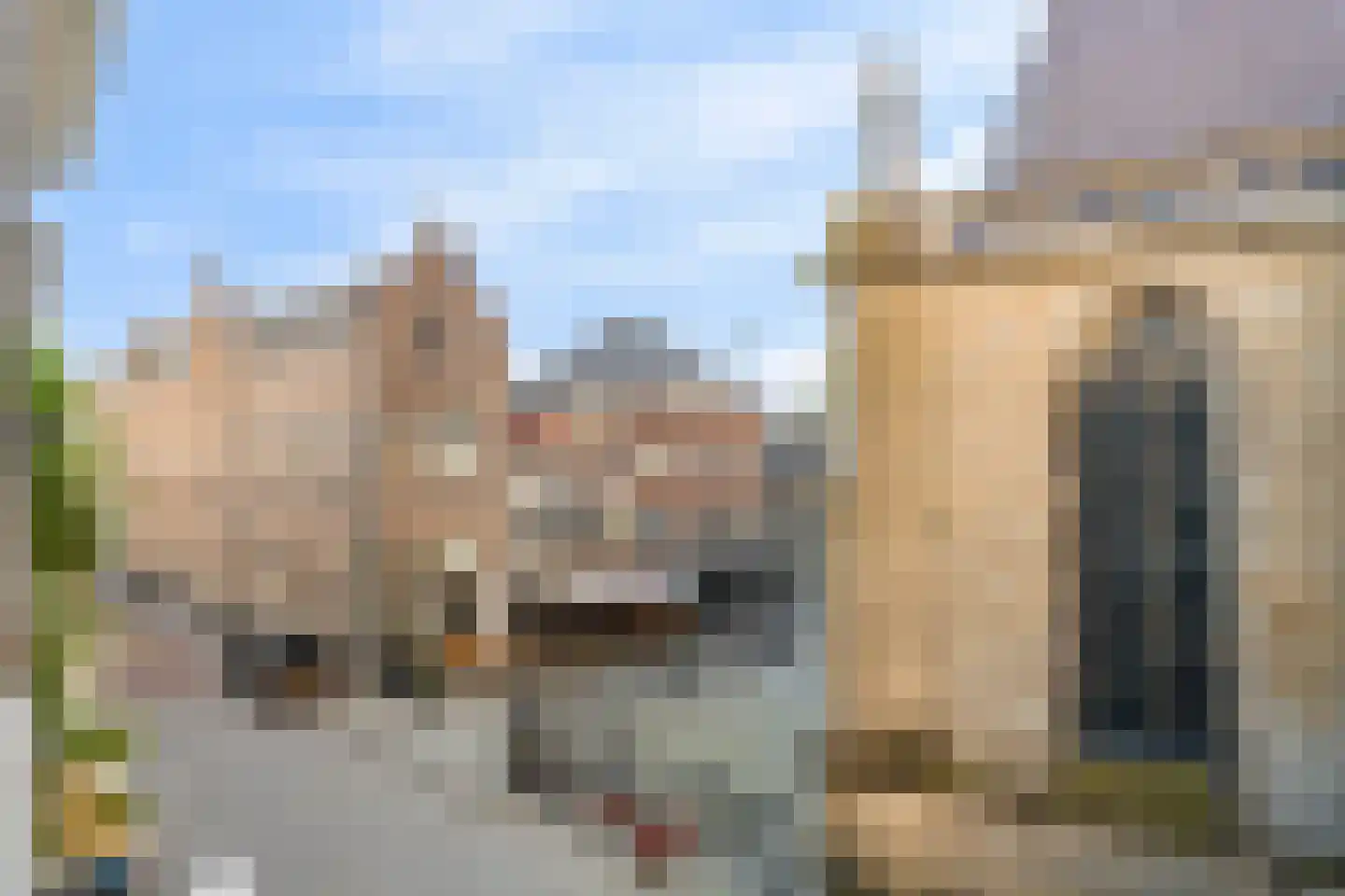Torenstraat 17 's-Hertogenbosch thumbnail 22