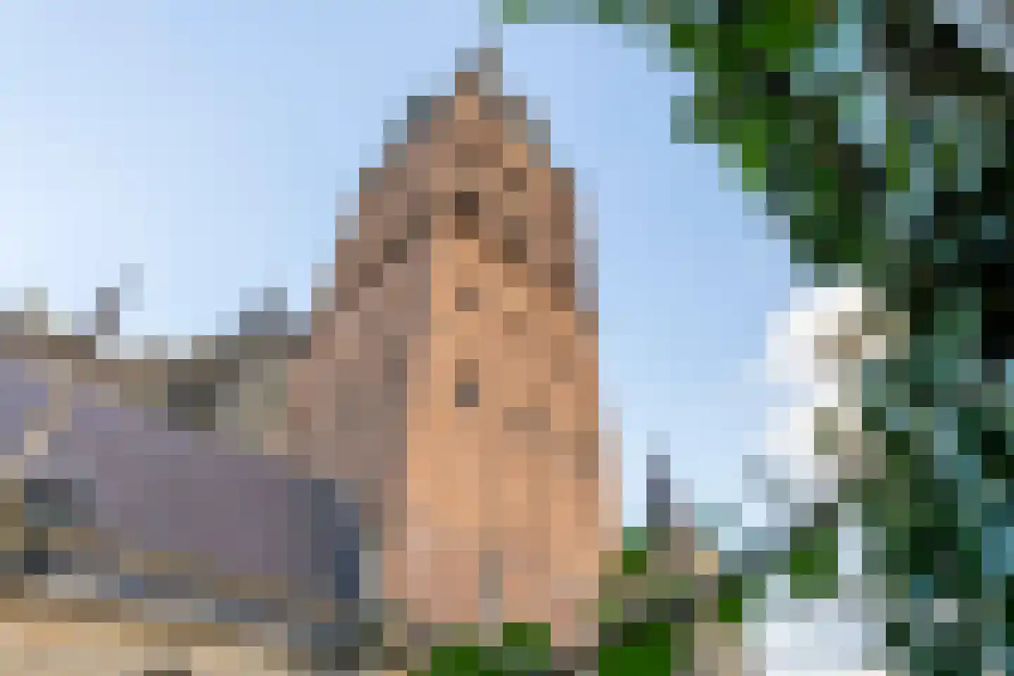 Torenstraat 17 's-Hertogenbosch thumbnail 23
