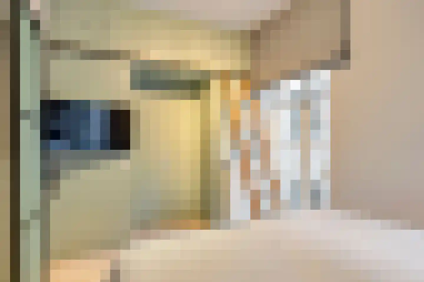 Torenstraat 17 's-Hertogenbosch thumbnail 25