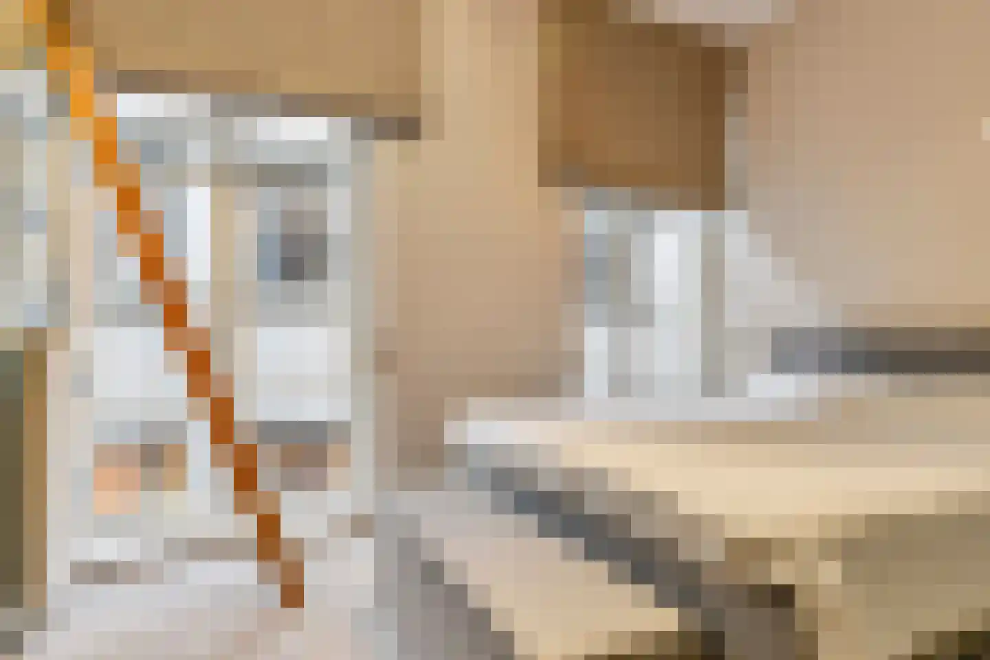 Torenstraat 17 's-Hertogenbosch thumbnail 26