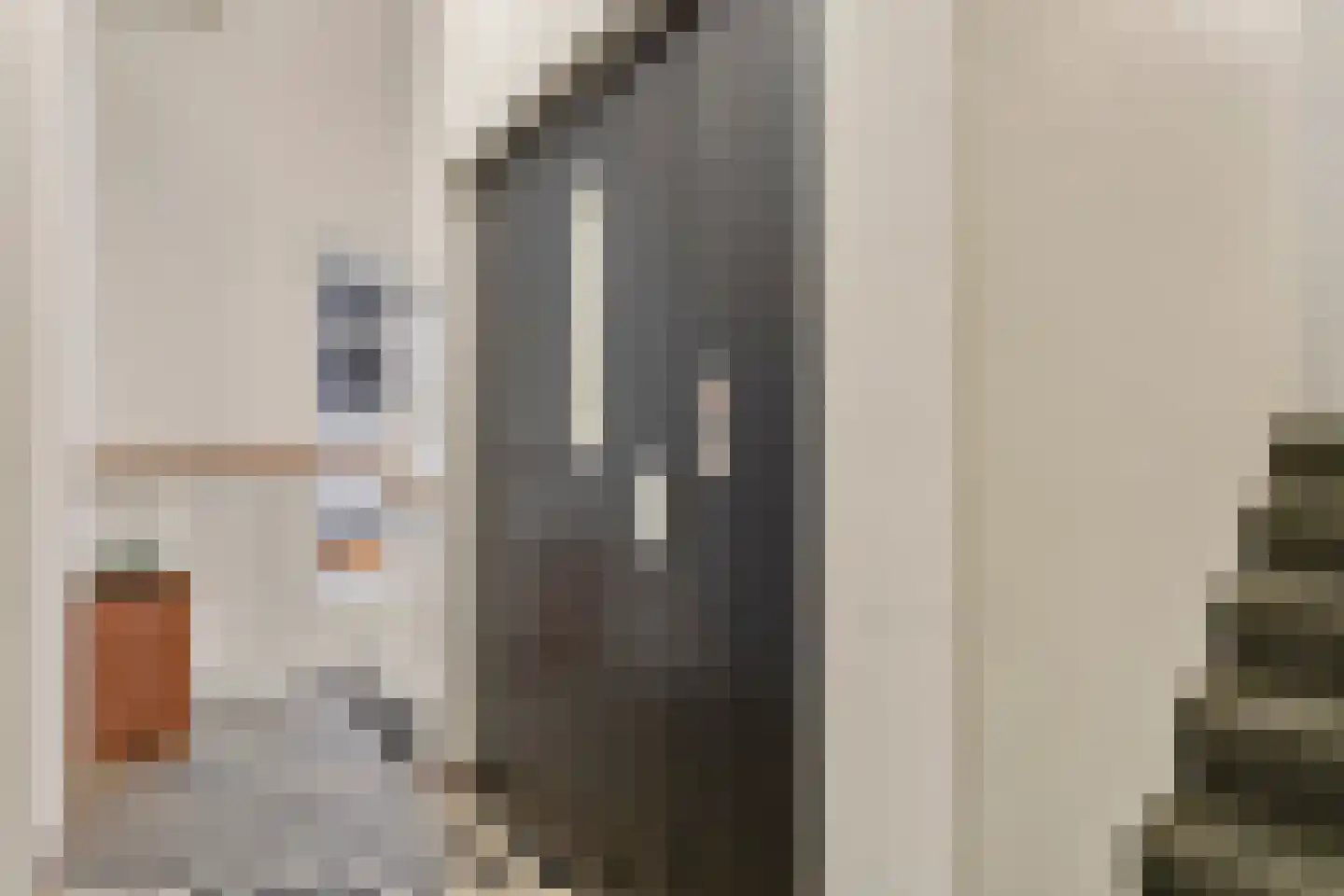 Torenstraat 17 's-Hertogenbosch thumbnail 33