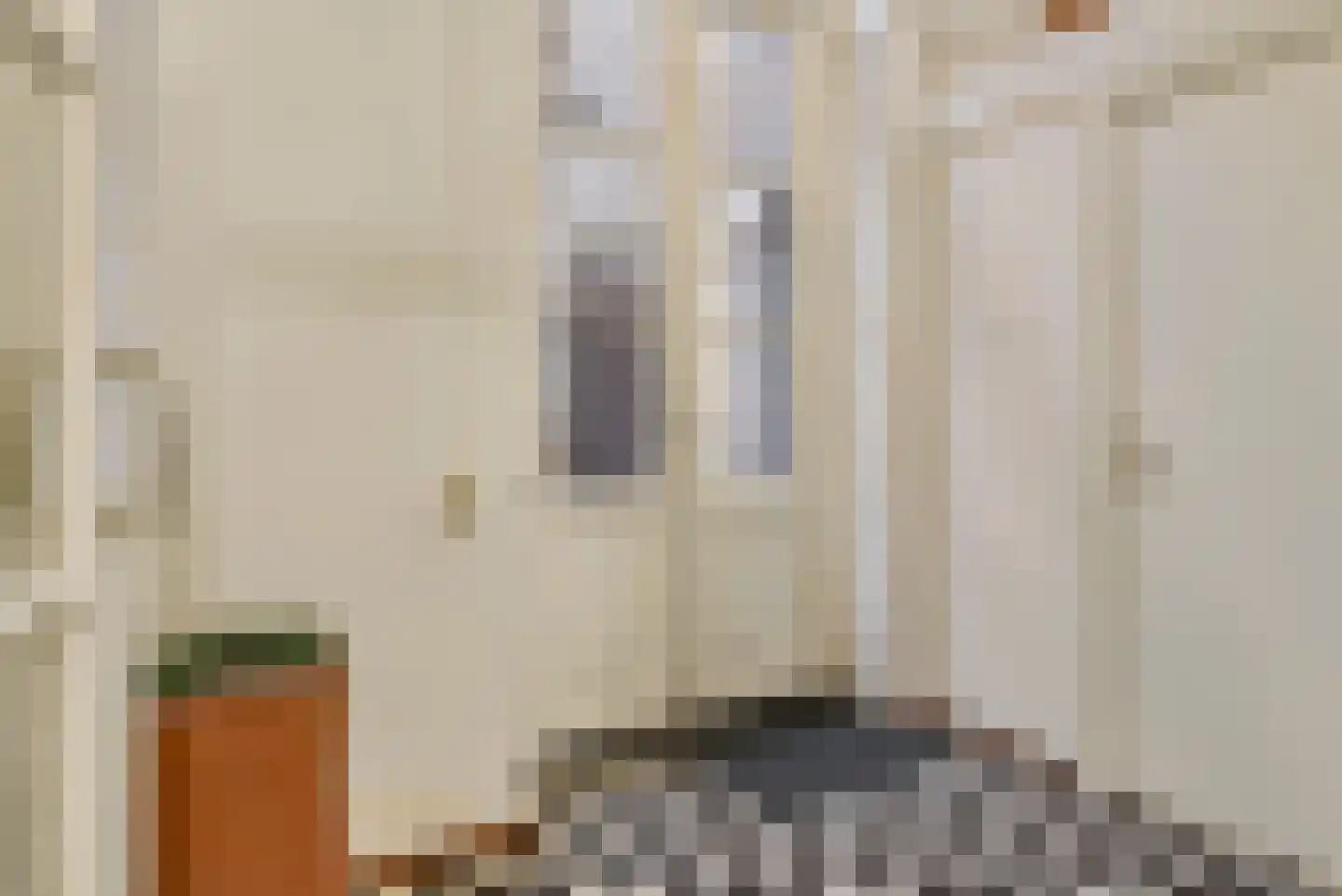 Torenstraat 17 's-Hertogenbosch thumbnail 34