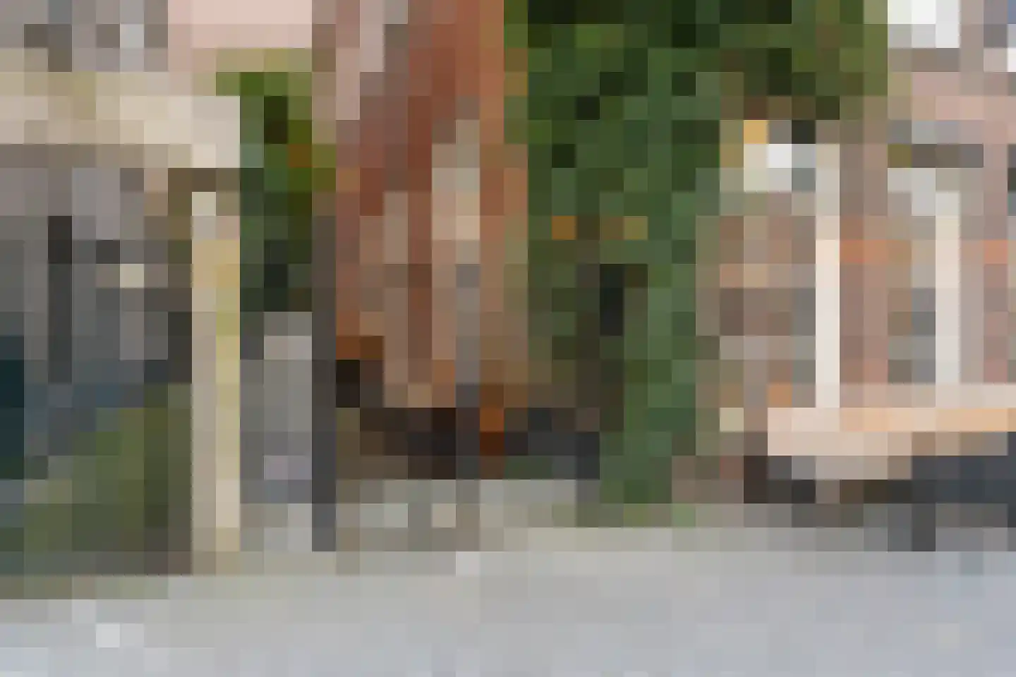 Torenstraat 17 's-Hertogenbosch thumbnail 35