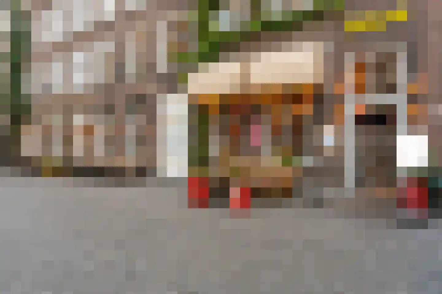 Torenstraat 17 's-Hertogenbosch thumbnail 40