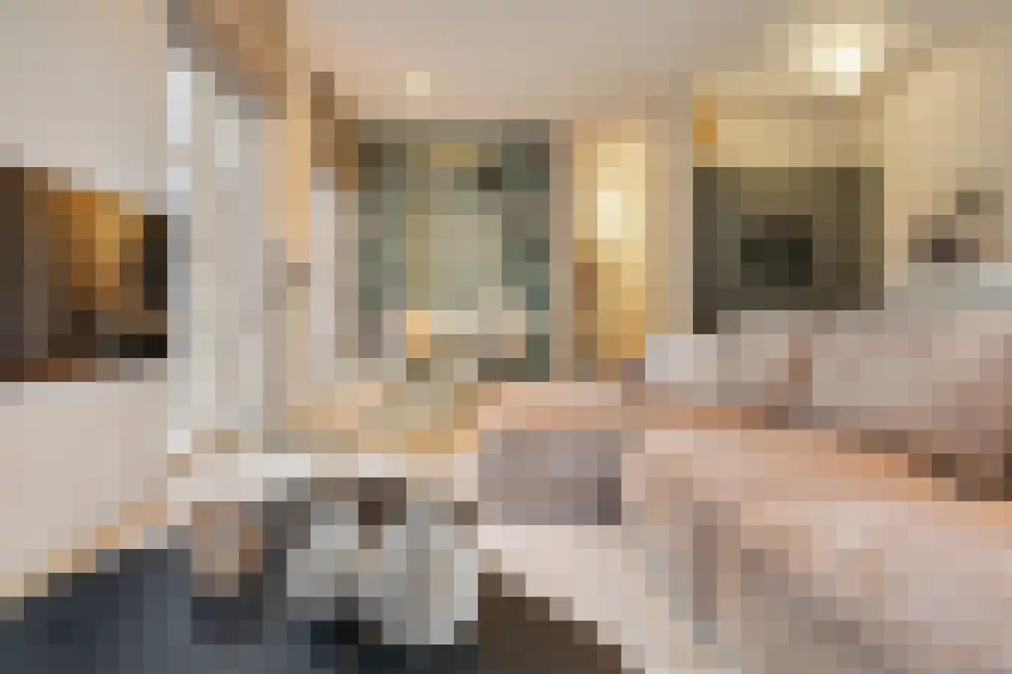 Torenstraat 17 's-Hertogenbosch thumbnail 6