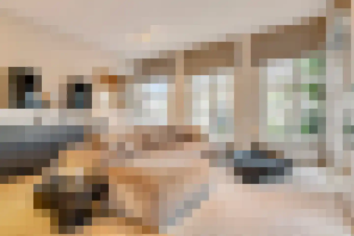 Torenstraat 17 's-Hertogenbosch thumbnail 7