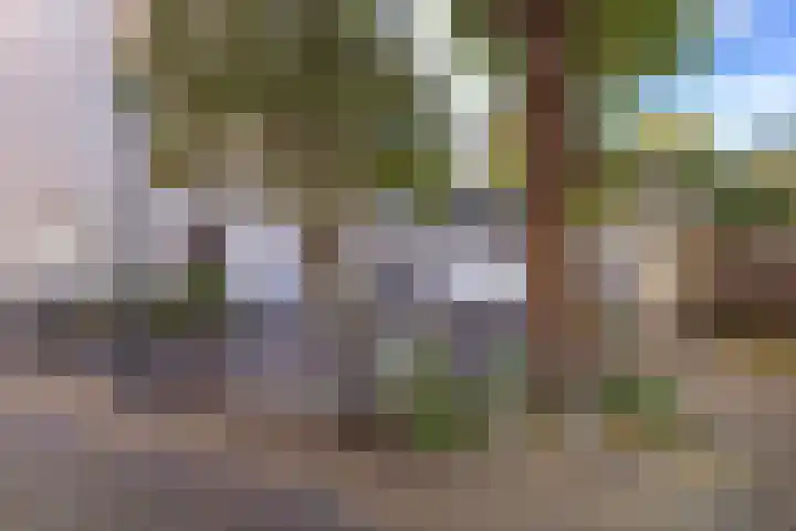 Torenstraat 17 Velsen-Zuid thumbnail 7