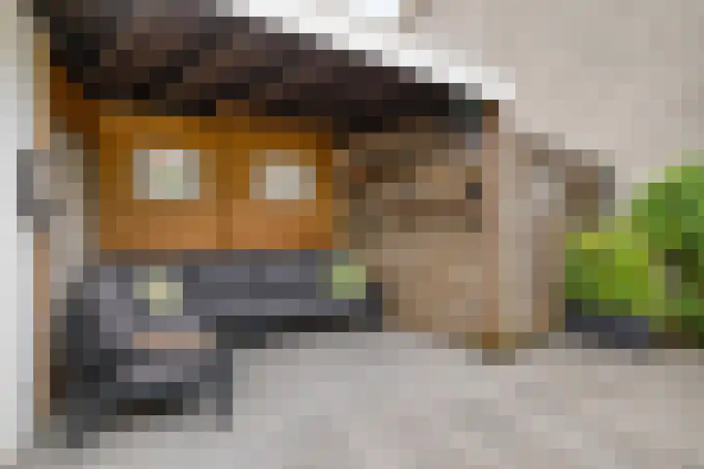 Torenstraat 18 Oss thumbnail 10
