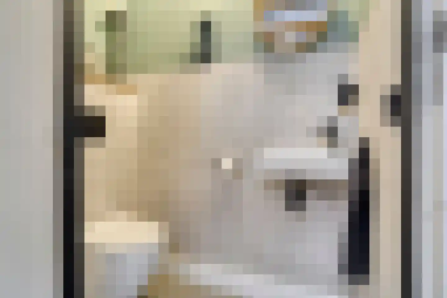 Torenstraat 18 Oss thumbnail 12