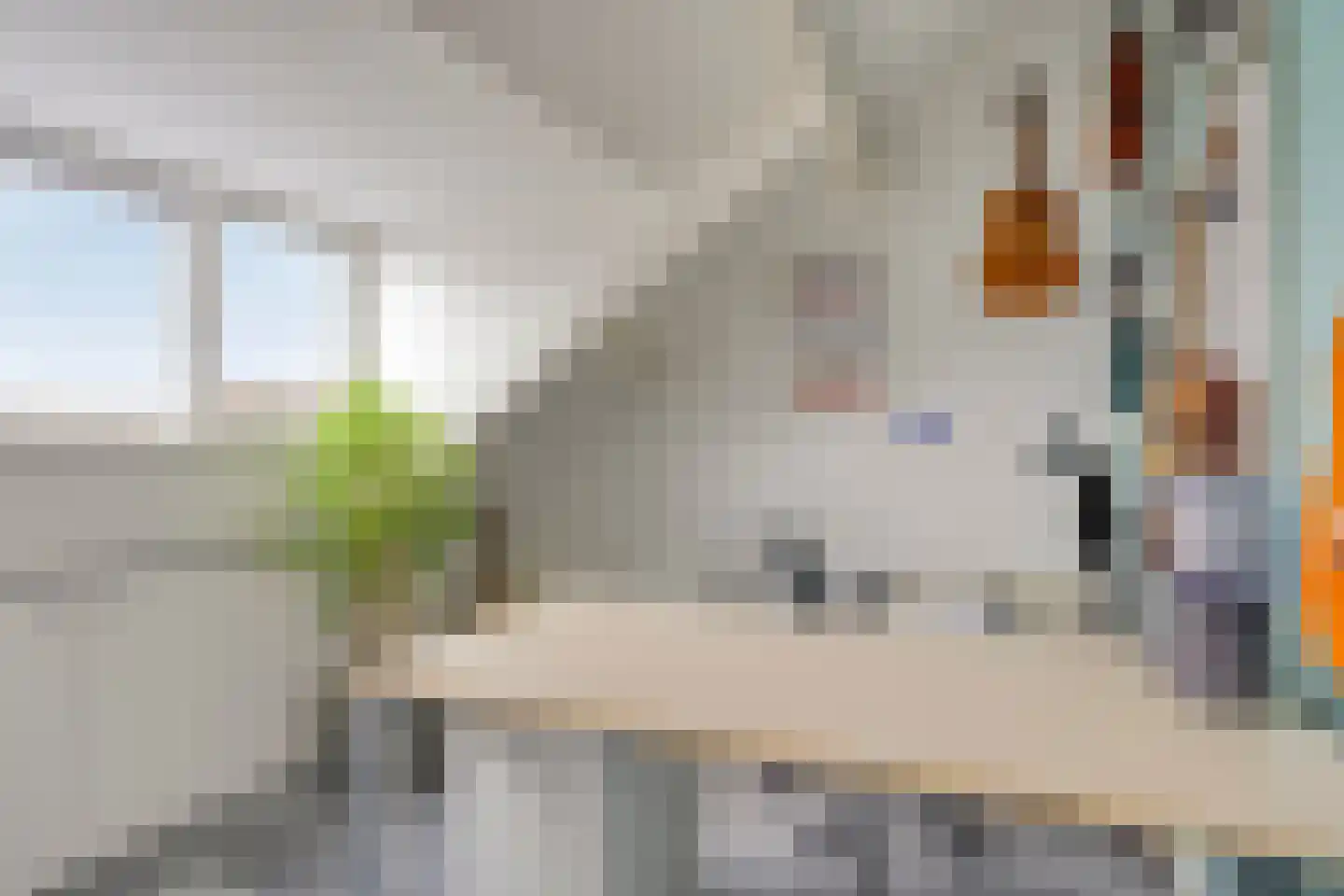Torenstraat 18 Oss thumbnail 22