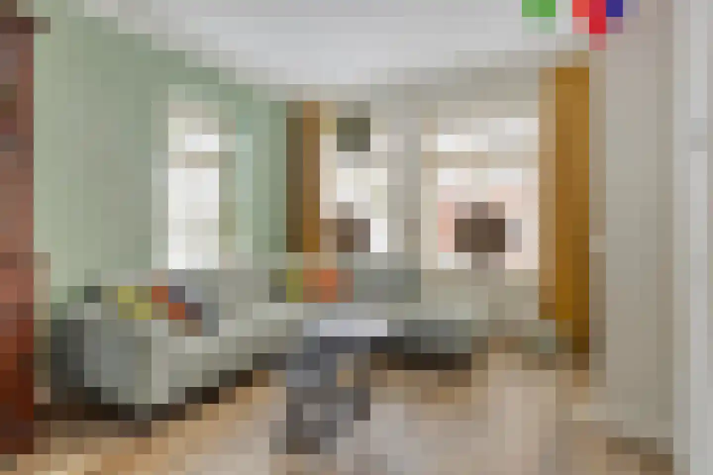 Torenstraat 18 Oss thumbnail 4