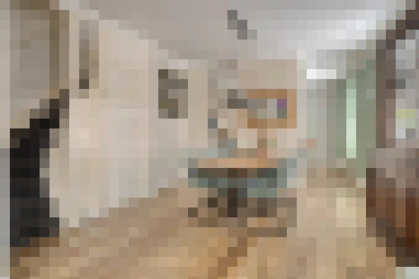 Torenstraat 18 Oss thumbnail 5